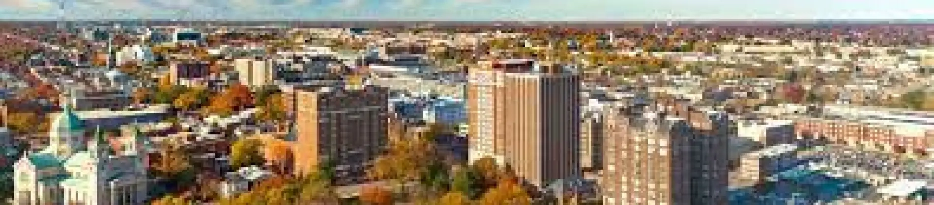 Interdisciplinary Studies (math specialists)